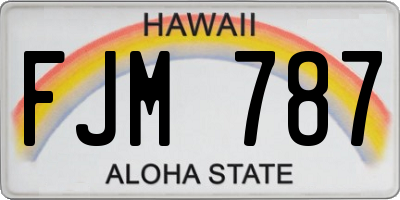 HI license plate FJM787