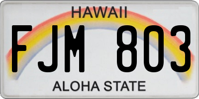 HI license plate FJM803