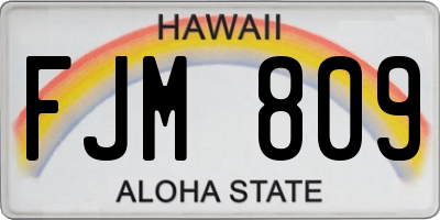 HI license plate FJM809