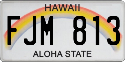 HI license plate FJM813
