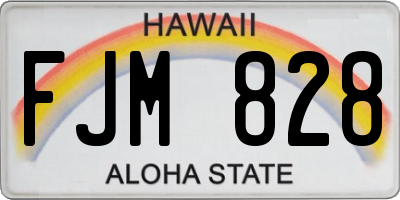 HI license plate FJM828