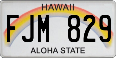 HI license plate FJM829