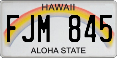 HI license plate FJM845