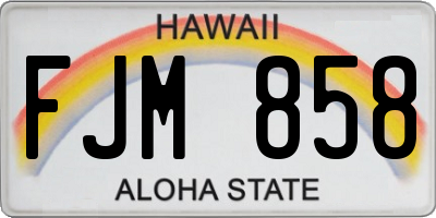 HI license plate FJM858