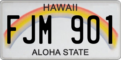 HI license plate FJM901