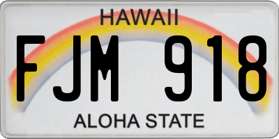 HI license plate FJM918