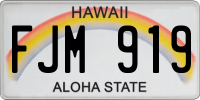 HI license plate FJM919