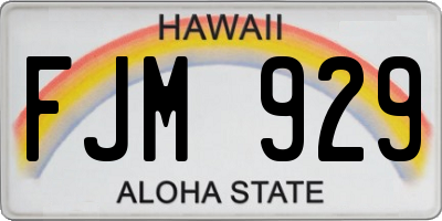 HI license plate FJM929