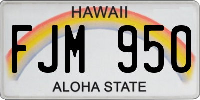 HI license plate FJM950