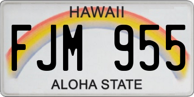 HI license plate FJM955