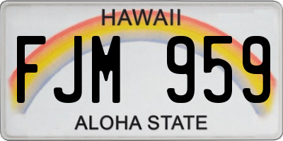 HI license plate FJM959