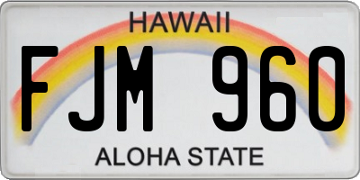 HI license plate FJM960