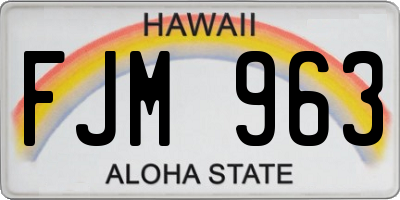 HI license plate FJM963