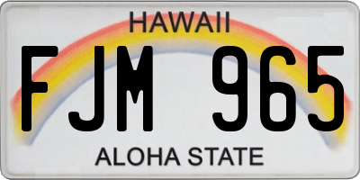 HI license plate FJM965