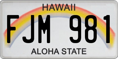 HI license plate FJM981