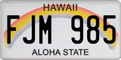 HI license plate FJM985