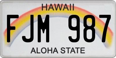 HI license plate FJM987