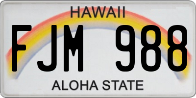 HI license plate FJM988