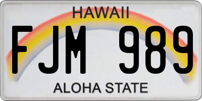 HI license plate FJM989