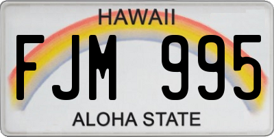 HI license plate FJM995