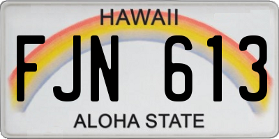 HI license plate FJN613