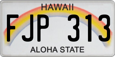 HI license plate FJP313