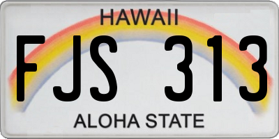 HI license plate FJS313