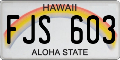 HI license plate FJS603
