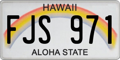 HI license plate FJS971