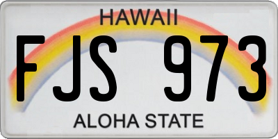 HI license plate FJS973