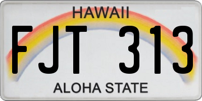 HI license plate FJT313