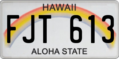 HI license plate FJT613