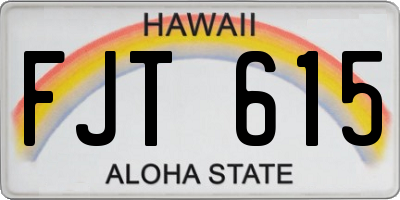 HI license plate FJT615