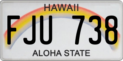 HI license plate FJU738