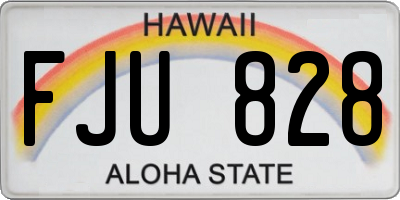 HI license plate FJU828