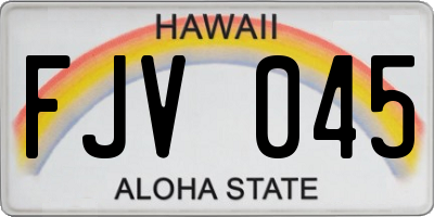 HI license plate FJV045