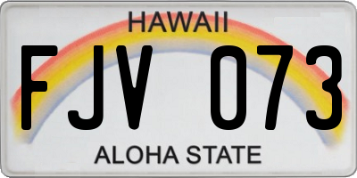 HI license plate FJV073