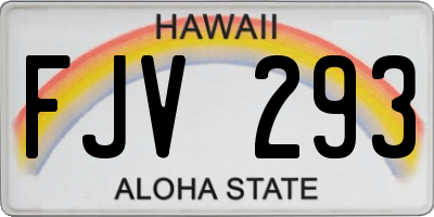 HI license plate FJV293