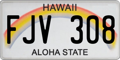 HI license plate FJV308