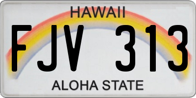 HI license plate FJV313