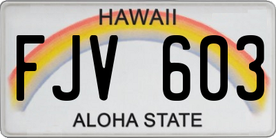 HI license plate FJV603