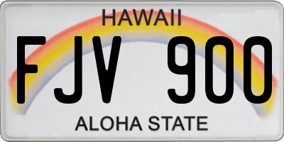HI license plate FJV900