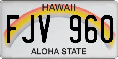 HI license plate FJV960