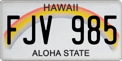 HI license plate FJV985