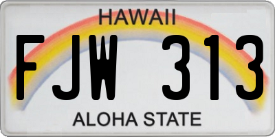 HI license plate FJW313