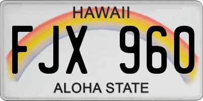 HI license plate FJX960