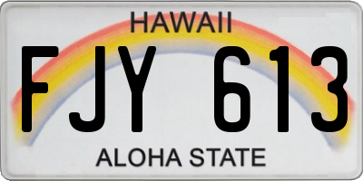 HI license plate FJY613