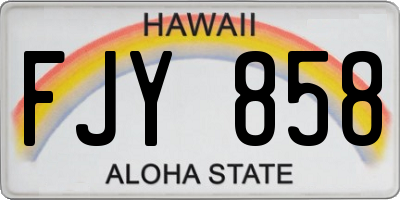 HI license plate FJY858