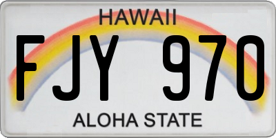 HI license plate FJY970