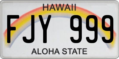 HI license plate FJY999